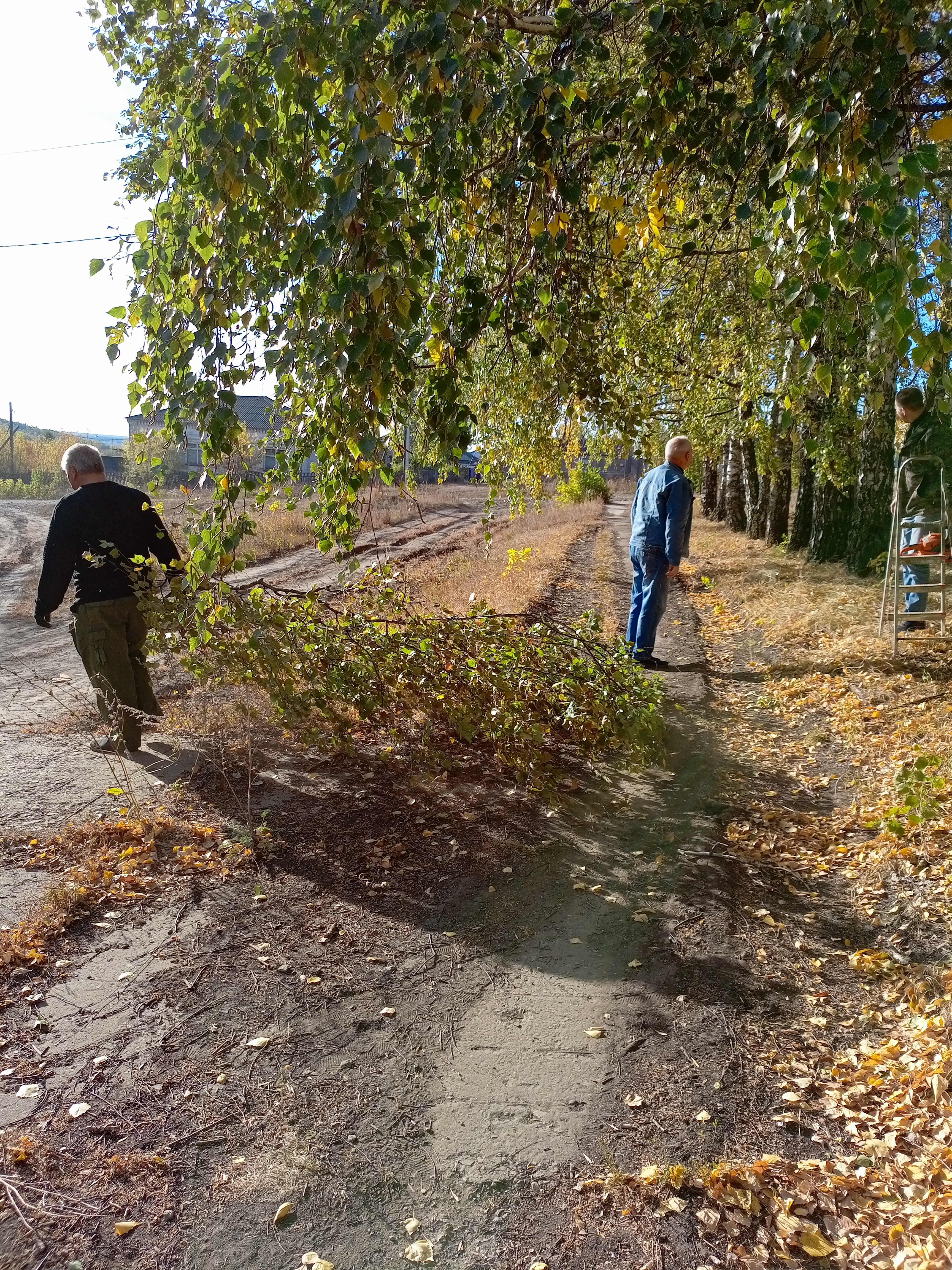 Месячник по благоустройству.